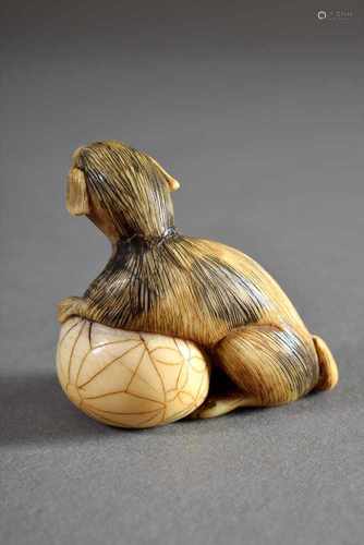 Elfenbein Netsuke 