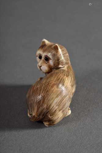 Katabori Netsuke 