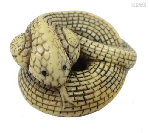 Japanese Meiji ivory Netsuke in the form of a coiled Cobra Snake, L4.