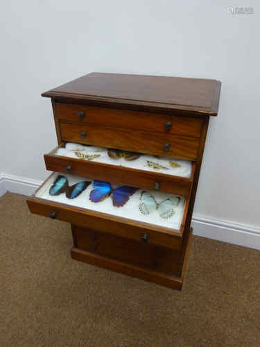 Late 19th/Early 20th century ten drawer mahogany Specimen Chest containing a collection of Asian