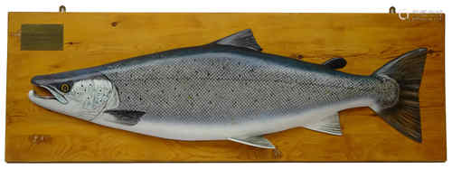 20th century carved wooden half model of an Atlantic Salmon with naturalistic decoration on pine