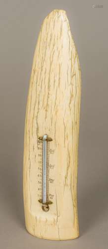 A 19th century desk thermometer Mounted on a polished petrified tusk, possibly mammoth. 31 cm high.