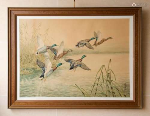 Riab (1898-1975), Canards s'envolant et Canards se posant, paire d'aquarelles sur [...]