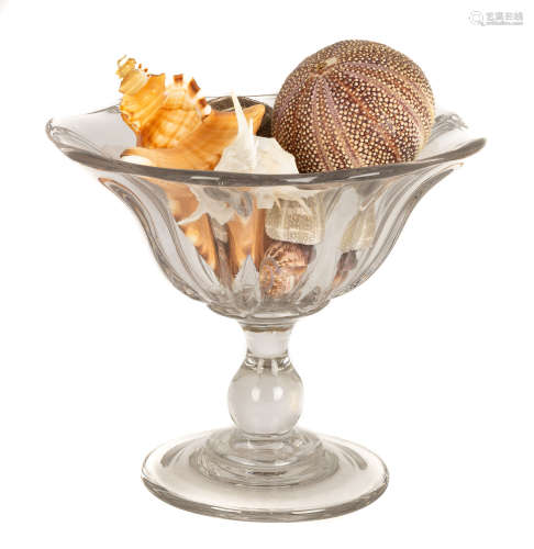 New England Blown Glass Compote with Collection of Shells. 19th century. Ht. 10