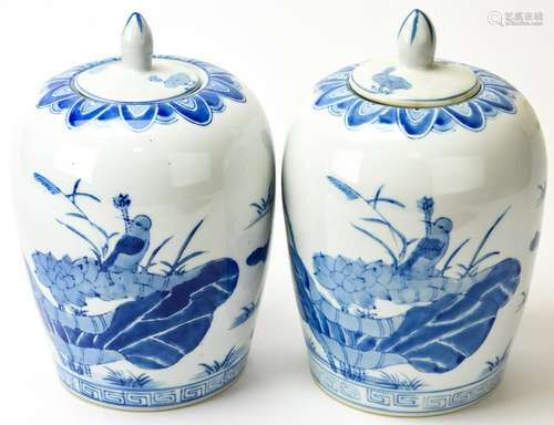 Pair Chinese Blue & White Porcelain Ginger Jars