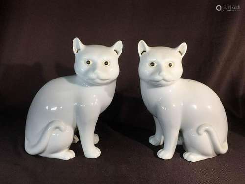 Pair Chinese White Porcelain Cat