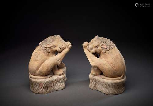 A RARE PAIR OF TERRACOTTA LIONS, TANG DYNASTY