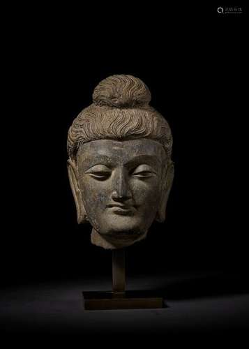 A LARGE HEAD OF BUDDHA, GANDHARA