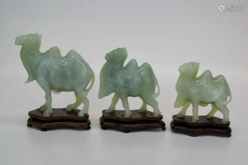 THREE CHINESE CARVED CELEDON JADE CAMELS