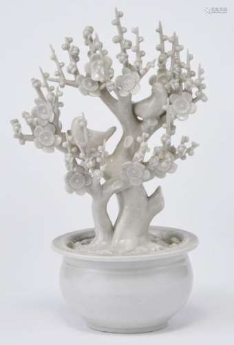 Prunus en pot, Chine, Dehua, XIXe s - Porcelaine émaillée blanc, H 20 cm -