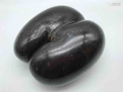 COCO DE MER NUT SEED POLISHED