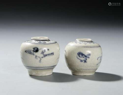 Two Chinese Blue and White Jars
