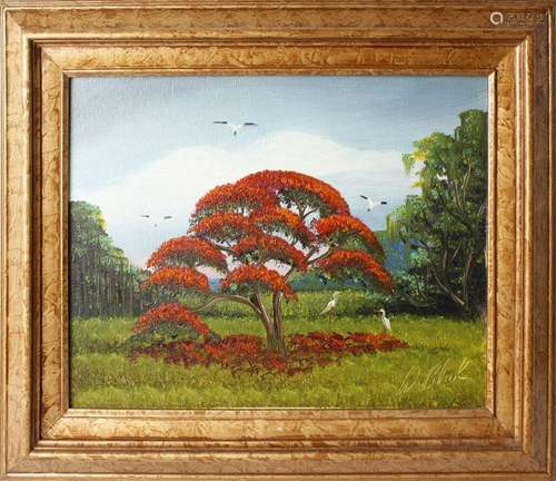 AL BLACK FLORIDA HIGHWYAMEN ROYAL POINCIANA TREE