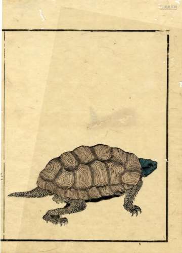 JapaneseWoodblockPrintsMasayoshi,Keisai1764-1824Singlebookpage,turtle-[...]