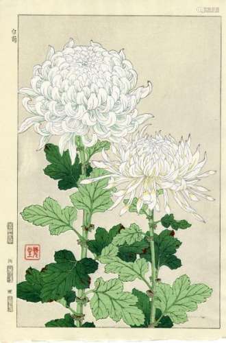 JapaneseWoodblockPrintsShodo,Kawarazaki1889-1973WhiteChrysanthemums(40x27.5[...]