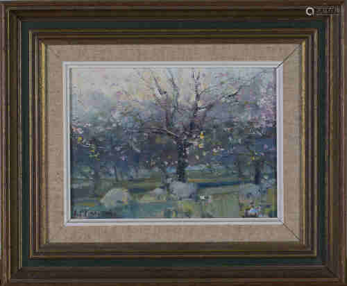 Arthur Karl Maderson - 'Apple Blossom & Sheep', oil on canvas-board, signed recto, titled artist's