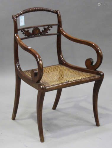A Regency stained beech scroll arm elbow chair with cane seat, on sabre legs, height 86cm, width