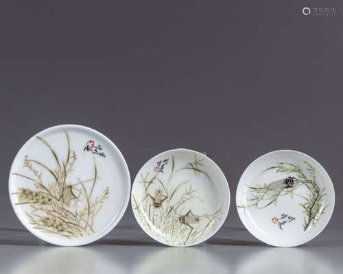 Three Chinese insects saucers