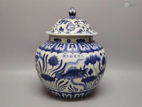 A Chinese Blue and White Porcelain Jar with Cover