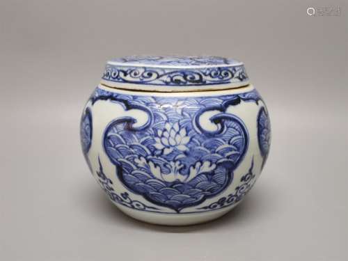 A Chinese Blue and White Porcelain Jar