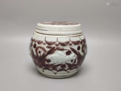 A Chinese Iron-Red Glazed Porcelain Jar