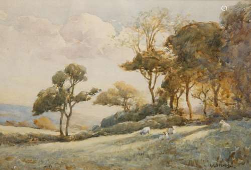 ALBERT GEORGE STEVENS (1863-1925), SHEEP IN A MEADOW