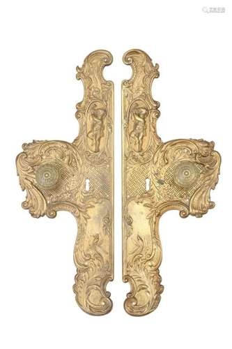 A PAIR OF 19TH CENTURY BRASS DOOR PLATES, each cast