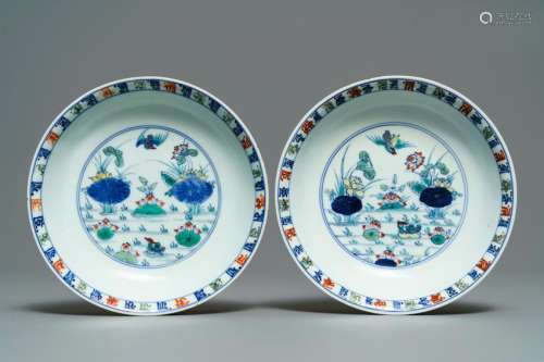 A pair of Chinese doucai 'ducks and lotus pond' plates,
