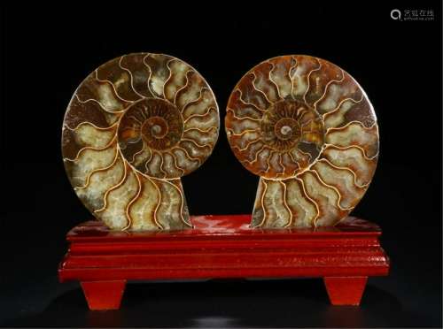 PAIR OF CHINESE SNAIL FOSSIL TABLE ITEM
