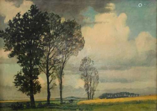Adam Potgieter (Amsterdam 1899 - 1982 Zwanenburg).Een landschap - 