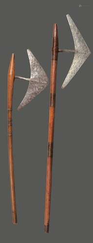 Two Sotho axes South Africa iron swallow tail blad…