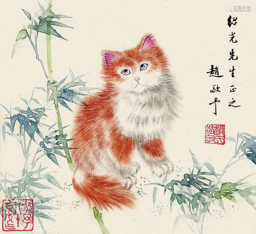 赵敬予 猫 纸本 单片