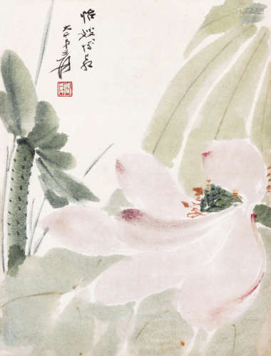 张大千（1899～1983） 1951年作 清荷 镜心 设色纸本