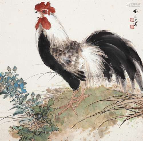 田世光（1916～1999） 雄鸡图 镜心 设色纸本