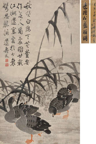 边寿民（1684～1752） 芦苇白雁图 立轴 设色纸本