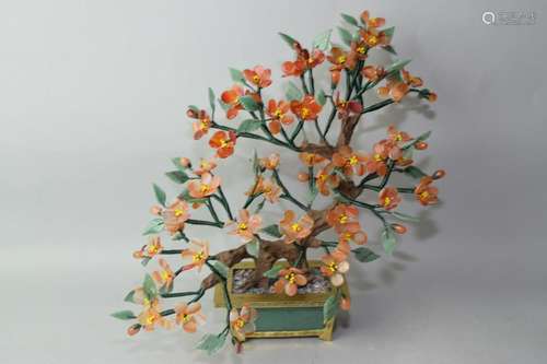 Chinese Jade Tree