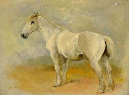 William Woodhouse (British 1857-1939): Study of a Grey Horse,