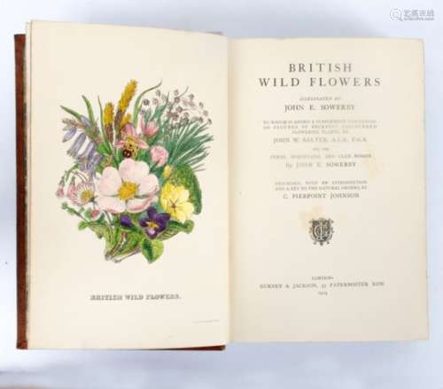 Sowerby (J E) British Wild Flowers, Gurney & Jackson 1914,