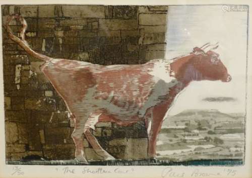 Piers Browne (British 1949-): 'The Shorthorn Cow', limited edition coloured etching no.