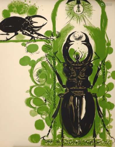 Graham Sutherland (British 1903-1980): Beetles,
