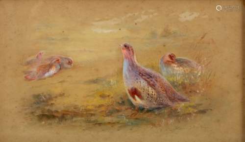 James Stinton (British 1870-1961)/Game Birds/four watercolours,