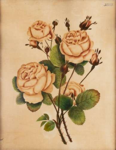 19th Century School/Roses/plush work/watercolour,