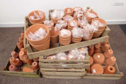 Three trays of small terracotta plant pots (aprox 150) and three trays of plant pot stands,