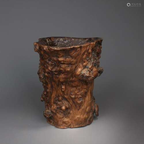 Republican Chinese Natural Tree Tumor Brushpot