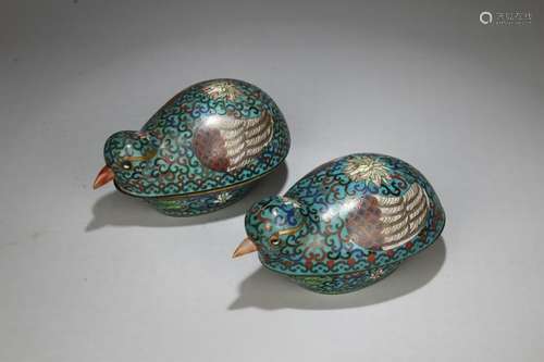 Pair of Qing Chinese Cloisonne Cover Box in Bird S