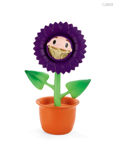紫色太阳花