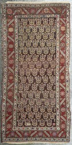 Tapis du Caucase Shirvan à motif répé