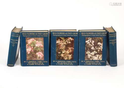 Five volumes of H. Essenhigh Corke & G. Clarke Nuttall 'Wild Flowers as they Grow', published by