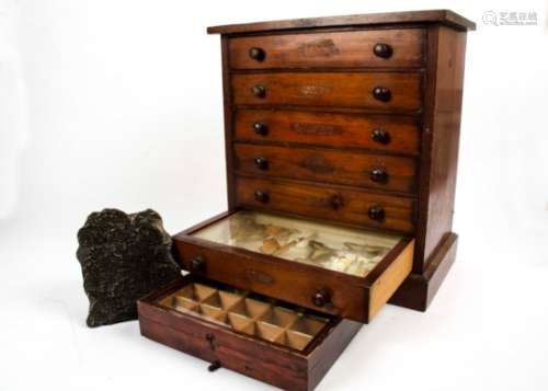 A Collectors cabinet with butterflies and moths under glass, together with a specimen box and wooden