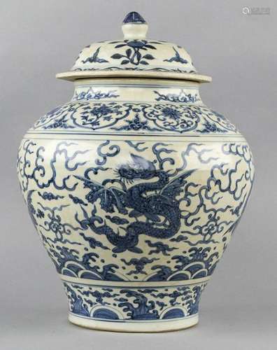 Chinese Blue & White Porcelain Jar